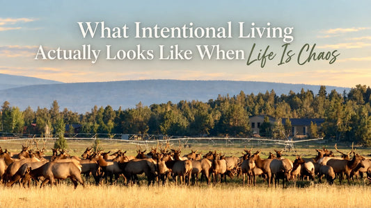 What Intentional Living Actually Looks Like When Life Is Chaos