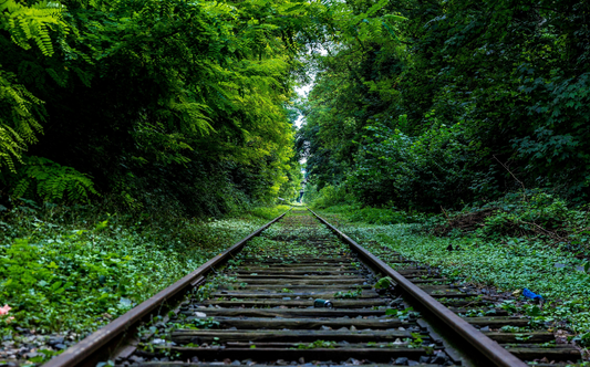 The Journey to Toxin-Free Living: How I Made the Switch