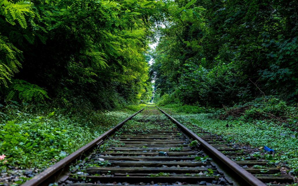 The Journey to Toxin-Free Living: How I Made the Switch