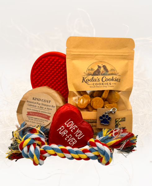 Donate a Bath Box to CORR Rescue Dogs – Sponsor natural bath set for shelter pups at Central Oregon Rescue & Rehab